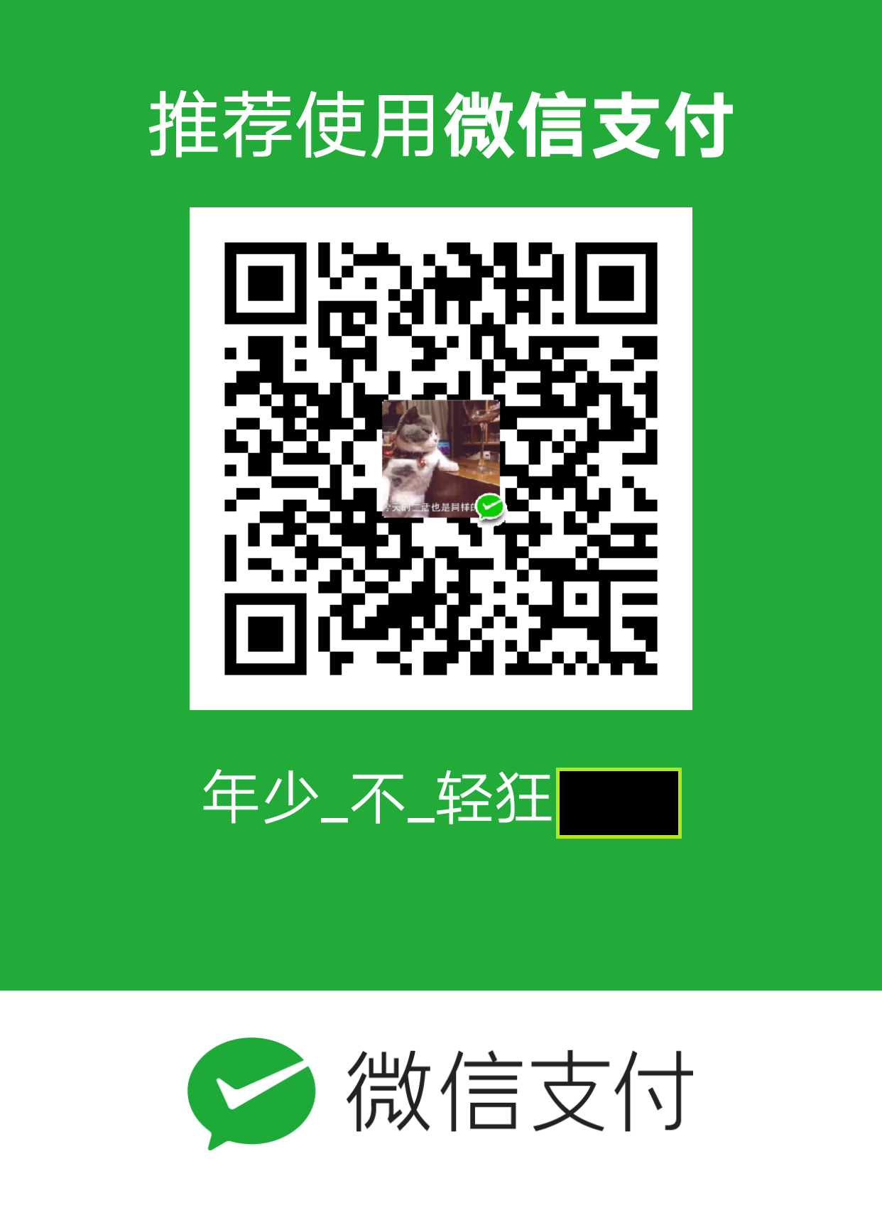 fe1yu 微信支付